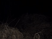 &nbsp;&nbsp;IMG_0846&nbsp;&nbsp;