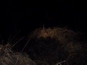 &nbsp;&nbsp;IMG_0847&nbsp;&nbsp;