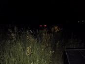 &nbsp;&nbsp;9volt in deep weeds&nbsp;&nbsp;