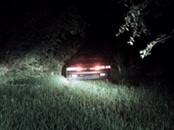 &nbsp;&nbsp;9-Volt behind bushes&nbsp;&nbsp;