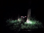 &nbsp;&nbsp;Gremlin in the woods&nbsp;&nbsp;