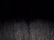 &nbsp;&nbsp;IMG_0786&nbsp;&nbsp;