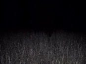 &nbsp;&nbsp;IMG_0788&nbsp;&nbsp;
