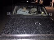 &nbsp;&nbsp;chip's speckled muddy truck&nbsp;&nbsp;