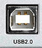 USB B female