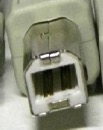 USB B male