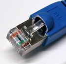 cat5 male