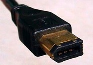 firewire 400 male