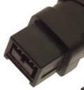 firewire 800 male