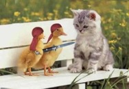 &nbsp;&nbsp;Ghetto Chicks image00110_1&nbsp;&nbsp;