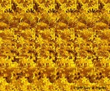 &nbsp;&nbsp;flower (good)&nbsp;&nbsp;