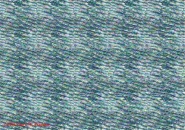 jolly_r