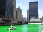 &nbsp;&nbsp;St Patrics Day in Chicago&nbsp;&nbsp;